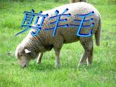 小学一年级上册音乐-三、剪羊毛-接力版2(12张)ppt课件