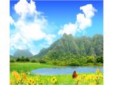 《陽(yáng)光牽著我的手》課件PPT