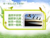 第二课《大雁湖》课件PPT