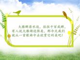 第二课《大雁湖》课件PPT