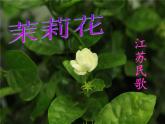 小学音乐3《采菱》四年级下册音乐-人音版(五线谱)(共49张PPT)ppt课件