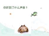 小学音乐3《癞蛤蟆和小青蛙》四年级下册音乐-人音版(五线谱)(共30张PPT)ppt课件