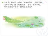 小学音乐3《柳树姑娘》三年级下册音乐-人音版(五线谱)(共8张PPT)ppt课件