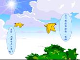 小学音乐3《荫中鸟》三年级下册音乐-人音版(五线谱)(共10张PPT)ppt课件