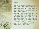 小学音乐3《打猪草》五年级上册音乐-人音版(五线谱)(共8张PPT)ppt课件