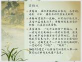 小学音乐6《对花》五年级下册音乐-人音版(五线谱)(共8张PPT)ppt课件