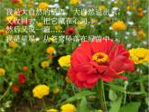 小学音乐6《花之歌》五年级下册音乐-人音版(五线谱)(共8张PPT)ppt课件