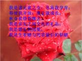 小学音乐6《花之歌》五年级下册音乐-人音版(五线谱)(共8张PPT)ppt课件