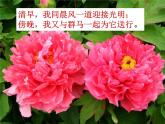 小学音乐6《花之歌》五年级下册音乐-人音版(五线谱)(共8张PPT)ppt课件