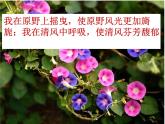 小学音乐6《花之歌》五年级下册音乐-人音版(五线谱)(共8张PPT)ppt课件