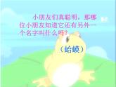 人教版小学二年级音乐花蛤蟆 课件 (2)
