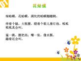 人教版小学二年级音乐花蛤蟆 课件 (3)
