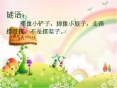 人教版小學(xué)二年級(jí)音樂(lè)鴨子拌嘴（片段） 課件 (2)