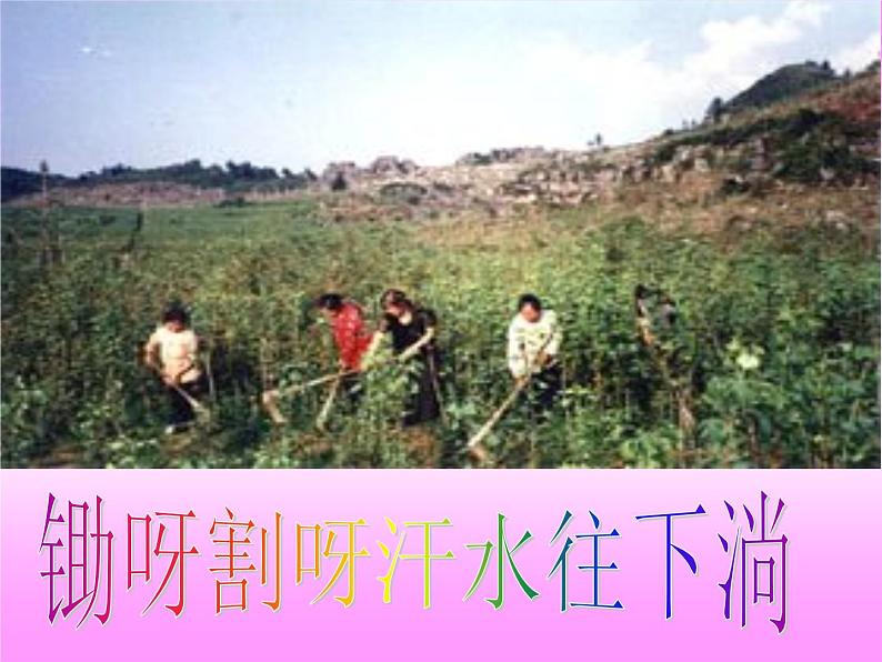 人教版小学二年级音乐种玉米 课件 (1)第6页