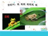 人教版小學二年級音樂數(shù)蛤蟆 課件 (5)