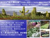 人教版小學(xué)六年級音樂拉庫卡拉查 課件 (2)