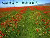 人教版小學(xué)六年級(jí)音樂美麗的夏牧場(chǎng) 課件