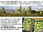 人教版小學(xué)六年級音樂拉庫卡拉查 課件