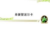 人教版小學(xué)六年級(jí)音樂單簧管波爾卡 課件