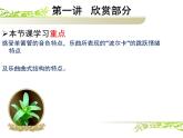 人教版小學(xué)六年級(jí)音樂單簧管波爾卡 課件