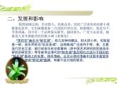 人教版小學(xué)六年級(jí)音樂單簧管波爾卡 課件
