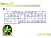 人教版小學(xué)六年級(jí)音樂單簧管波爾卡 課件