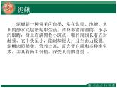 人教版小学三年级音乐捉泥鳅 课件