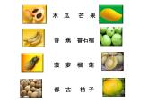 人教版小学四年级音乐木瓜恰恰恰 课件 (2)