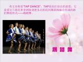 人教版小学五年级音乐大河之舞 课件 (3)