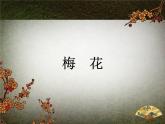 人教版小学五年级音乐梅花 课件