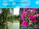 人教版小学一年级音乐春天音乐会 课件 (1)