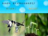 人教版小学一年级音乐春天音乐会 课件 (1)
