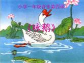 人教版小学一年级音乐咏鹅 课件 (1)
