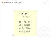 人教版小学一年级音乐咏鹅 课件 (2)