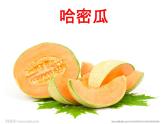 人教版小学一年级音乐娃哈哈 课件 (3)