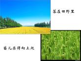 人教版小学一年级音乐小雨沙沙沙 课件
