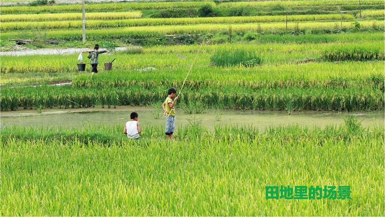 人教版小学四年级音乐 我们的田野 课件第5页