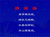 湘艺版小学二年级音乐（歌表演）小乌龟飞上天 课件 (3)