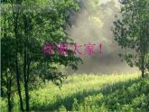 湘艺版小学六年级音乐（演唱）老鸟，小鸟 课件