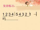 湘艺版小学六年级音乐（演唱）栗子大丰收 课件 (2)
