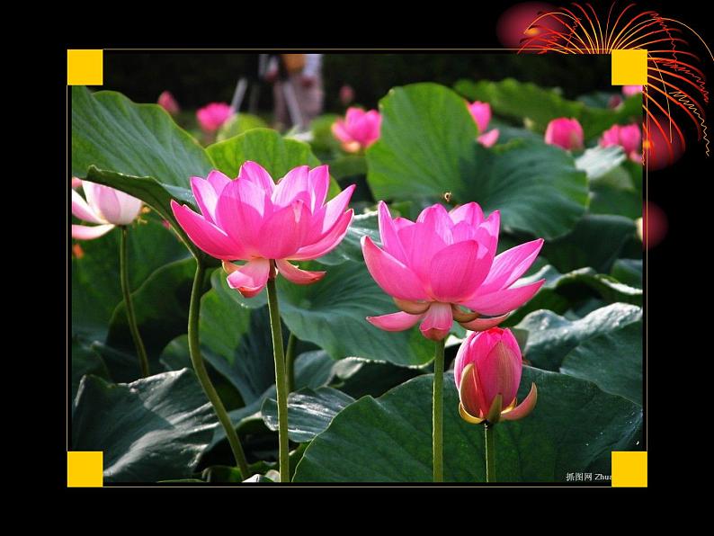 音乐三年级下湘艺版1中国少年先锋队队歌课件（23张）第2页