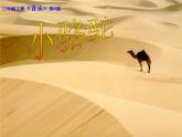 音乐三年级下湘艺版4小骆驼课件（23张）