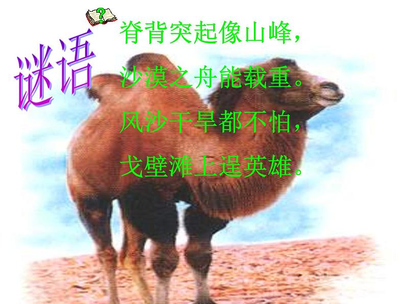 音乐三年级下湘艺版4小骆驼课件（23张）第2页
