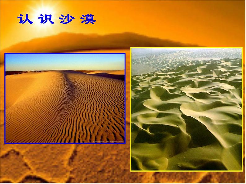音乐三年级下湘艺版4小骆驼课件（23张）第3页