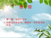 音乐三年级下湘艺版2顽皮的小杜鹃课件（21张）