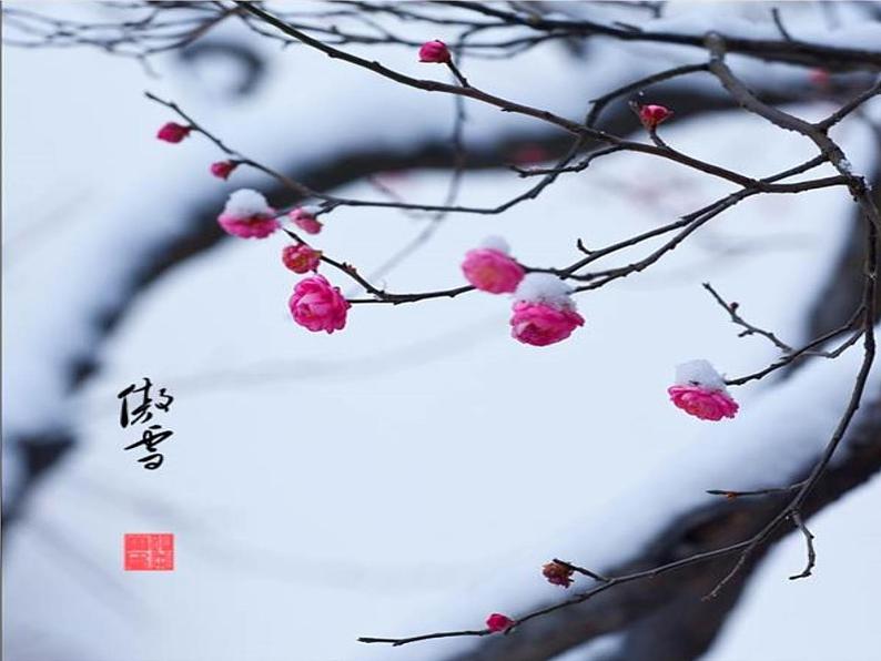 湘艺版小学五年级音乐（演唱）踏雪寻梅 课件 (2)03