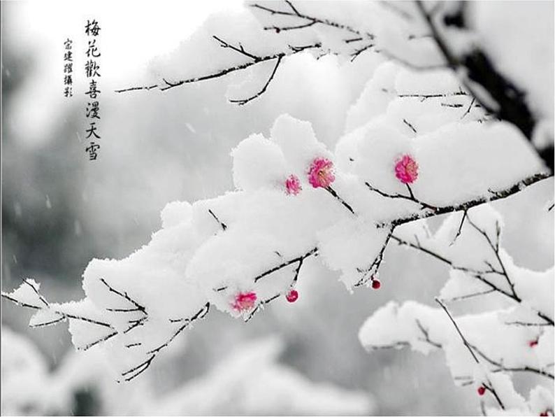 湘艺版小学五年级音乐（演唱）踏雪寻梅 课件 (2)04