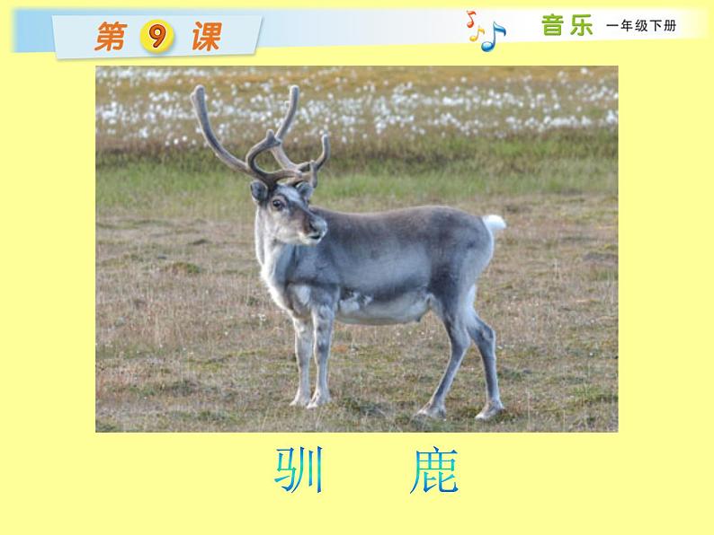 湘艺版一年级音乐（演唱）你说它是啥东西 课件第4页