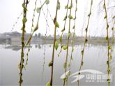 湘藝版一年級音樂（聽賞）郊外去 課件 (1)