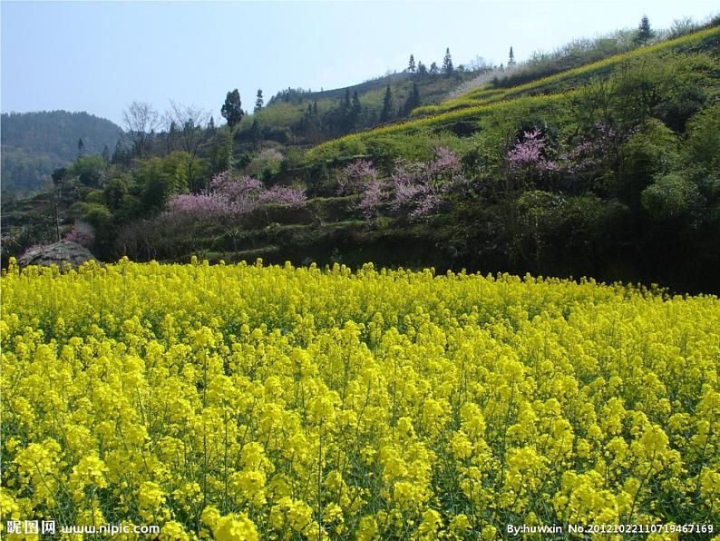 湘艺版一年级音乐（演唱）小雨沙沙 课件 (1)第8页